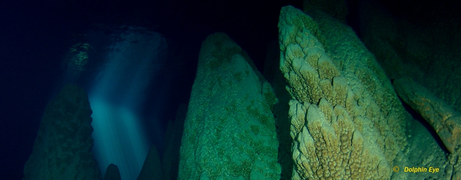 Advanced Cave - DPV Diver (OC, SCR & CCR)